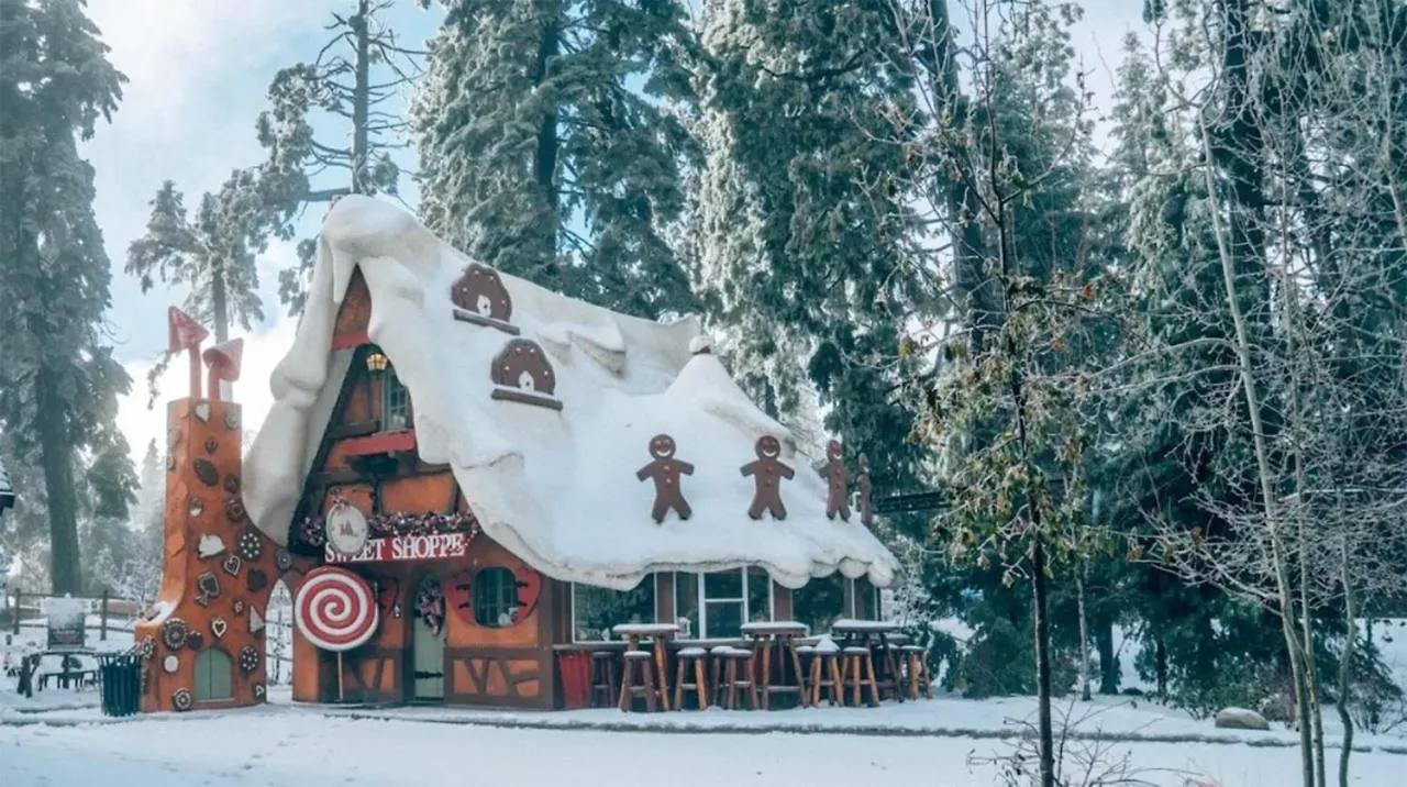 Holiday home One With Nature