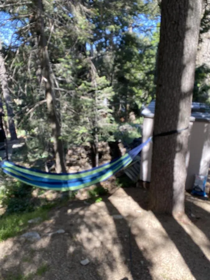 One With Nature Lake Arrowhead