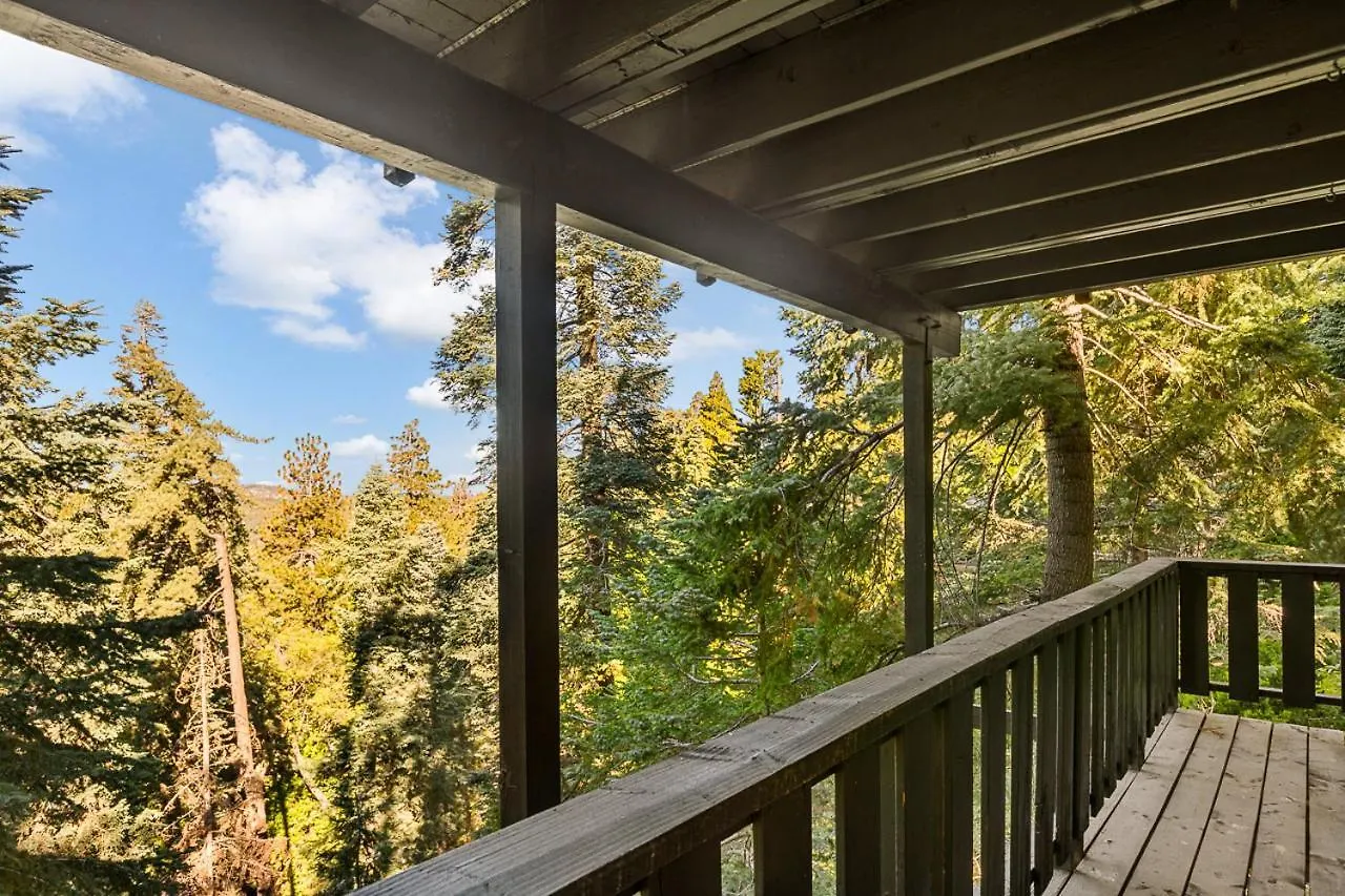 Romantic & Family Friendly In The Woods