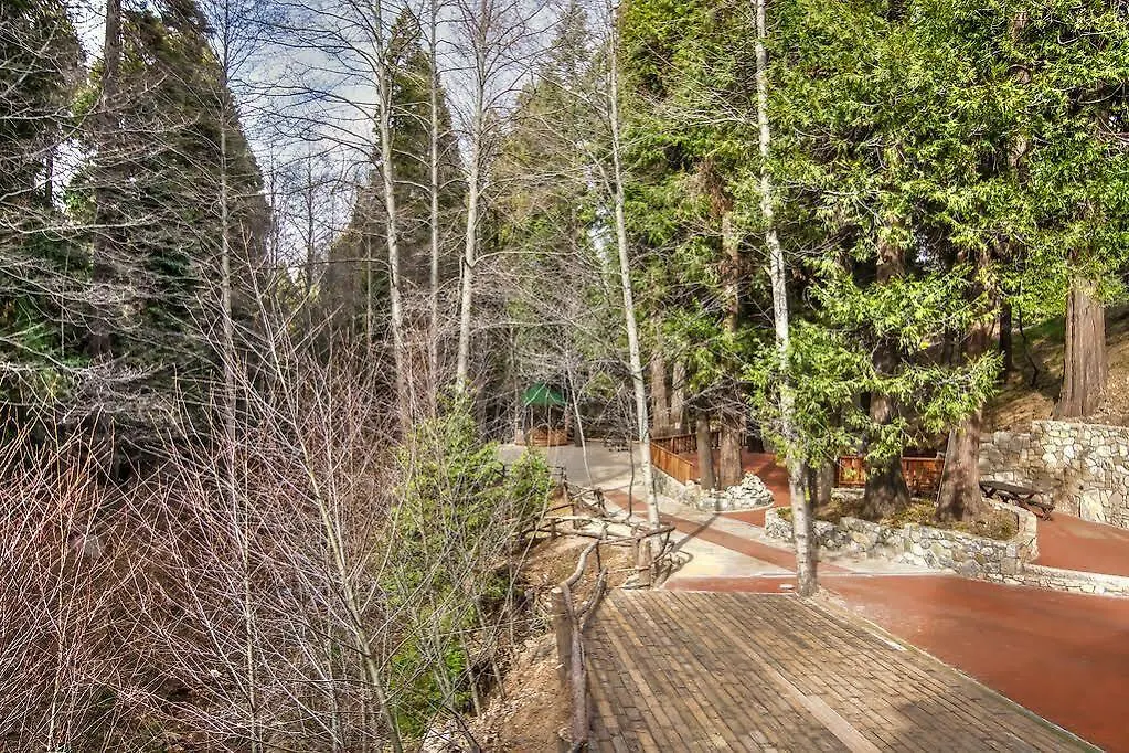 Arrowhead Tree * Lake Arrowhead